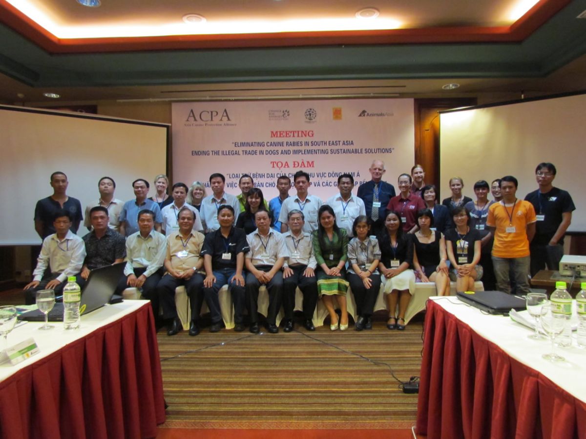 Southeast Asian Governments Take Steps to End Dog Meat Trade