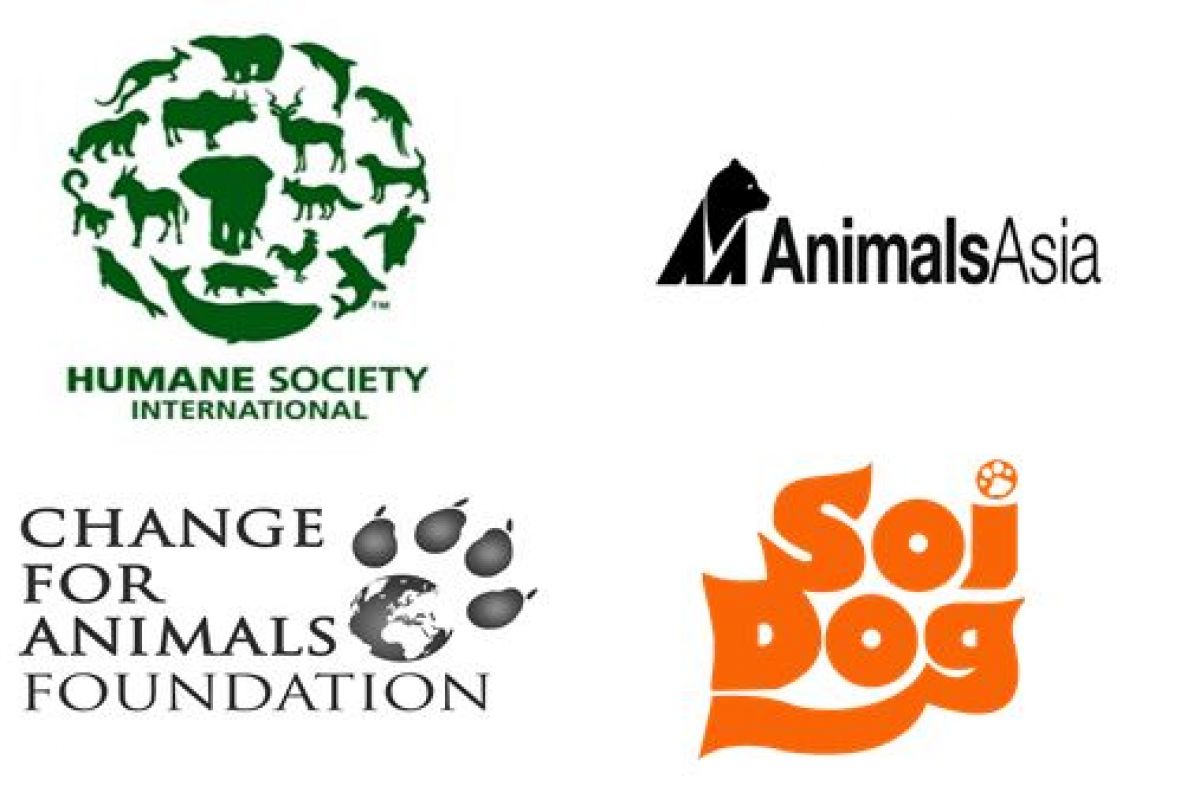 International Alliance Formed to End Dog Meat Trade in Key Countries